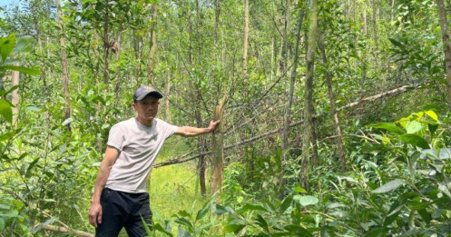Tiền hỗ trợ thiên tai có dấu hiệu bị trục lợi: Quảng Trị yêu cầu làm rõ