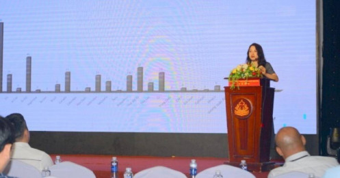 Thuế chống bán phá giá lên tới 700%: Doanh nghiệp Việt cần làm gì để giảm thiệt hại?