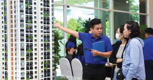 Khi những "cơn sốt" ảo không còn đất diễn