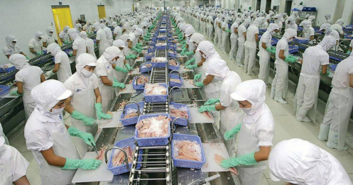 Vĩnh Hoàn và bài toán giữ "ngai vàng" xuất khẩu năm 2026