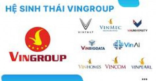 Cổ phiếu cùng đội nhóm họ VIN?