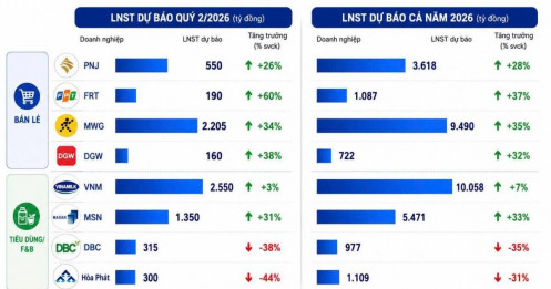 Lợi nhuận quý 2/2026: Bán lẻ phục hồi, chăn nuôi gặp áp lực