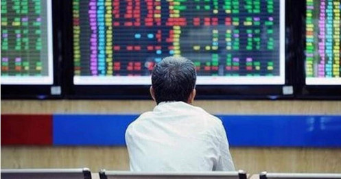Muốn thắng ở giai đoạn này, đừng nhìn chỉ số, hãy nhìn vào doanh nghiệp