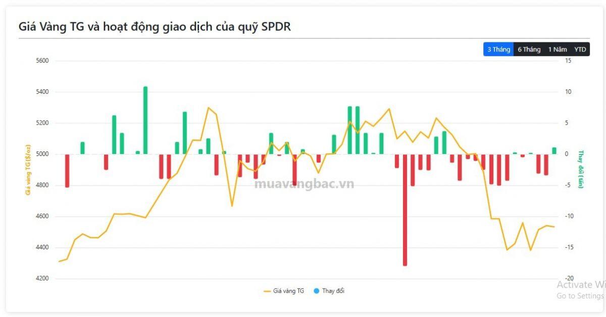 “Cá mập” quay lại gom vàng