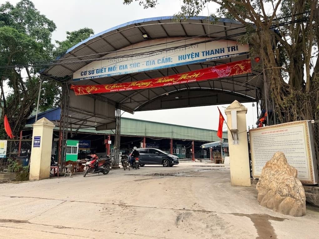 Khi cán bộ thú y trở thành "đạo diễn" cho đường dây 300 tấn lợn dịch
