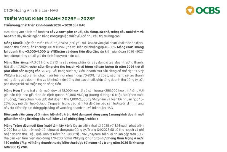 Dự phóng lợi nhuận 2026 gần 4.400 tỷ, P/E chỉ 5,1 lần: Cổ phiếu HAG được nhìn lại câu chuyện định giá