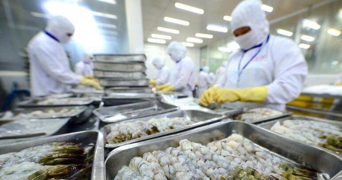 Cuộc đại tu ngành thủy sản từ áp lực thẻ vàng EC