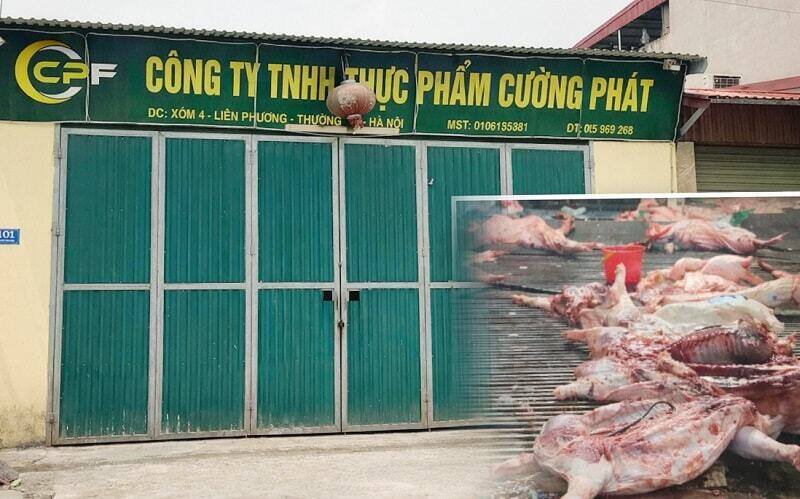 Khi con dấu thú y trở thành "giấy thông hành" cho thịt bẩn
