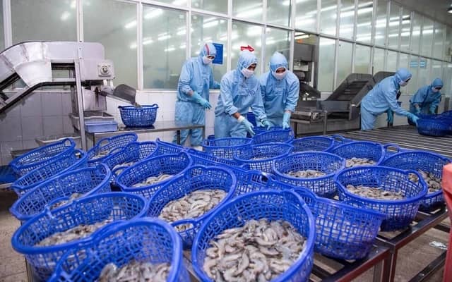 Cú sốc thuế Mỹ thổi bay lợi nhuận "vua tôm"