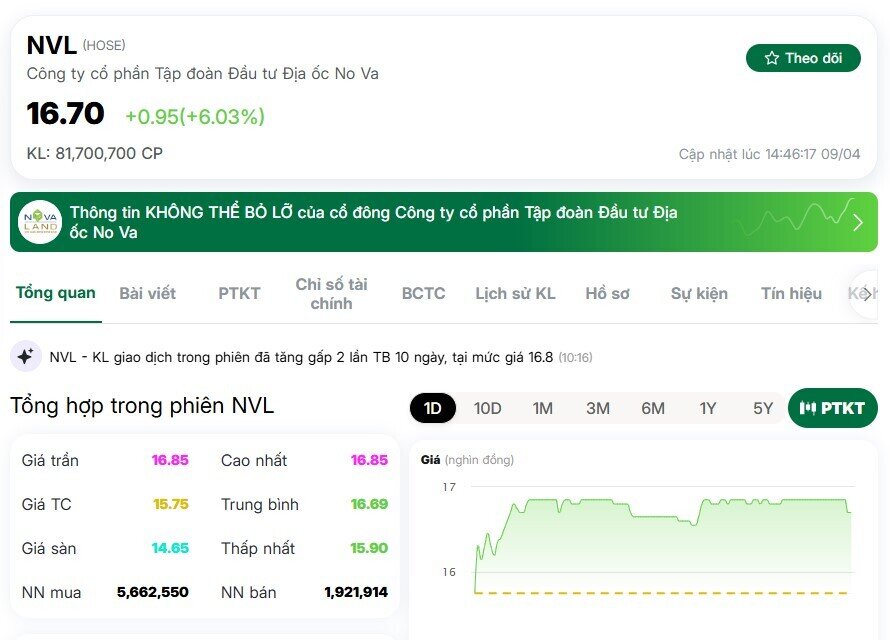 NVL tăng gần 60% chỉ trong 1 tháng: Sóng lớn đã quay lại?