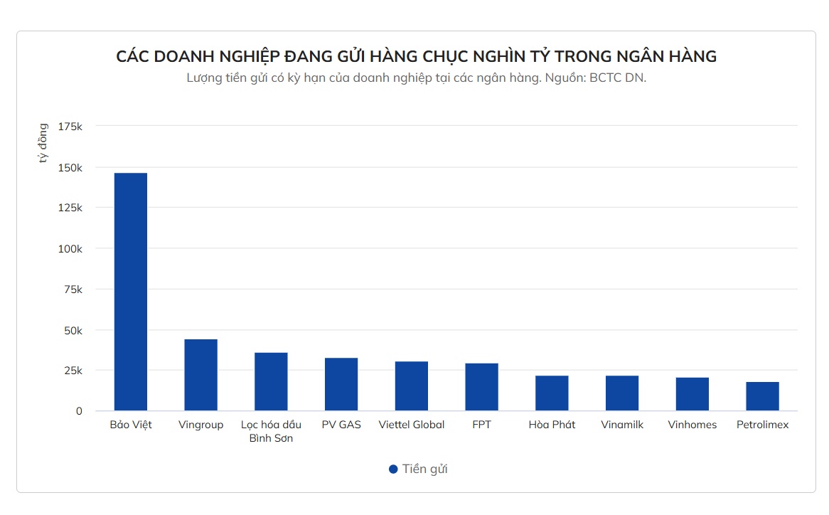 Doanh nghiệp niêm yết và chiến lược biến "núi tiền" thành cỗ máy sinh lời