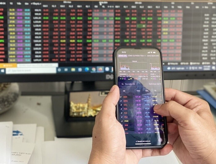 VN-Index "trưởng thành" bằng nỗi đau của nhà đầu tư?