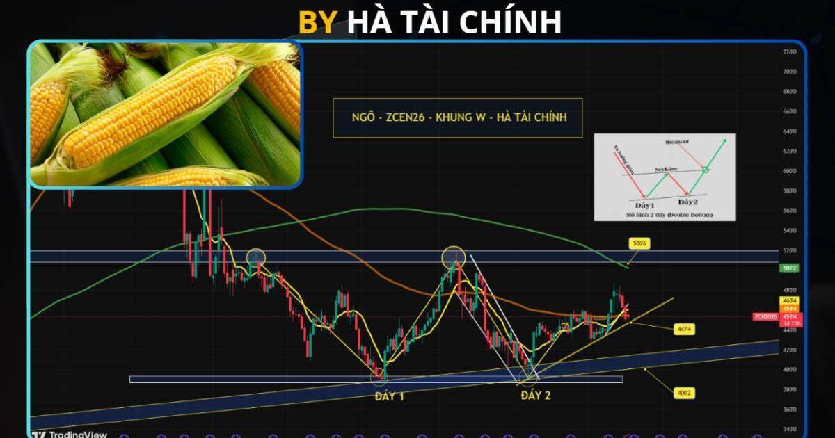 Ngô – kèo đẹp nhất nhóm nông sản hiện tại?