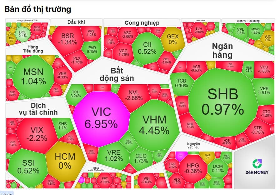 Họ Vingroup lại “gánh team”