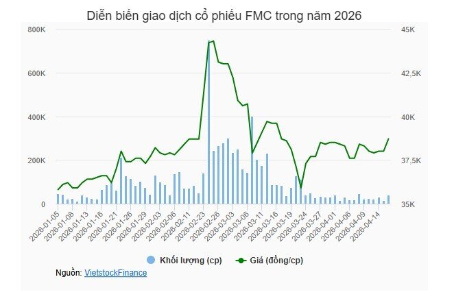 Doanh thu Sao Ta đi xuống trong quý đầu năm