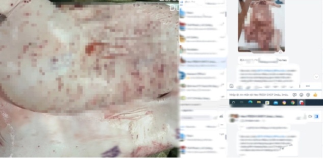 Từ vụ hóa đơn khống ở Cà Mau đến loạt “lùm xùm” liên quan C.P. Việt Nam