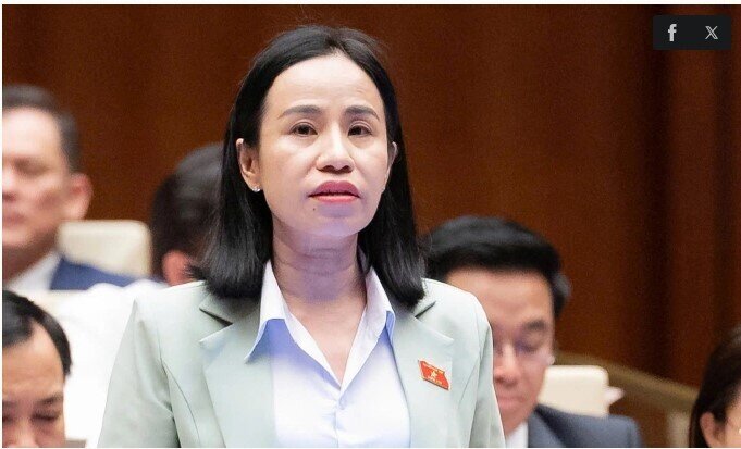 Đại biểu Quốc hội: Nên tăng thuế với xe điện từng bước để tránh 'cú sốc' thị trường