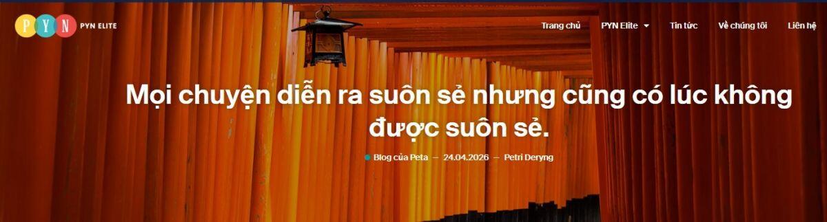Pyn Elite Fund: Nhà đầu tư 'ngó lơ' kết quả kinh doanh, dồn tiền vào Vingroup