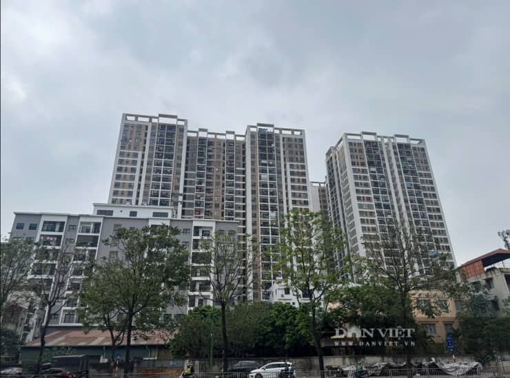 Nhà trong ngõ Hà Nội chạm 253 triệu đồng/m2: Người mua “choáng”, thị trường phân hóa rõ nét