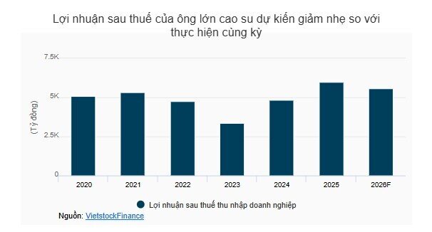 Ông lớn cao su đạt lợi nhuận ròng cao nhất 6 năm