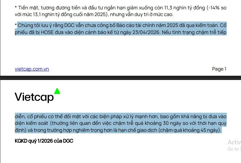 Vietcap: Cổ phiếu DGC có thể bị đưa vào diện kiểm soát và hạn chế giao dịch