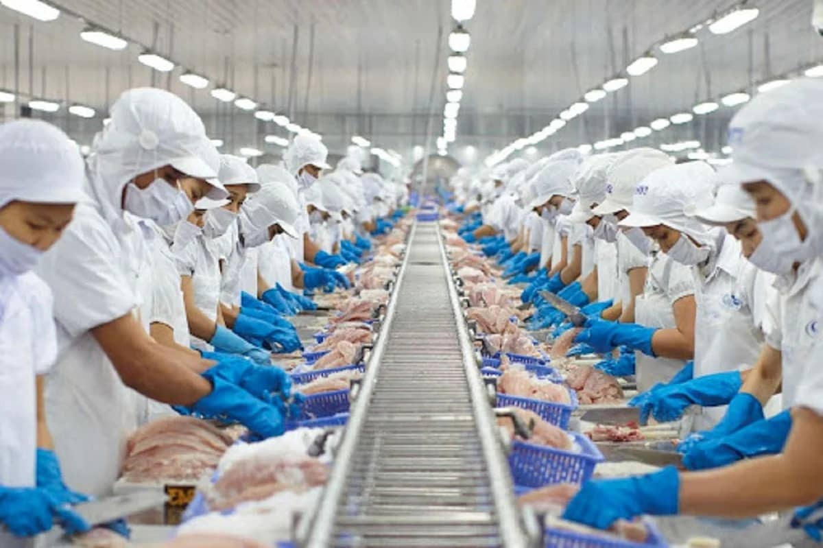 Cú bẻ lái chiến lược của "Nữ hoàng cá tra"