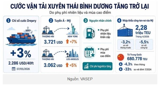 Cước tàu biển tăng trở lại?