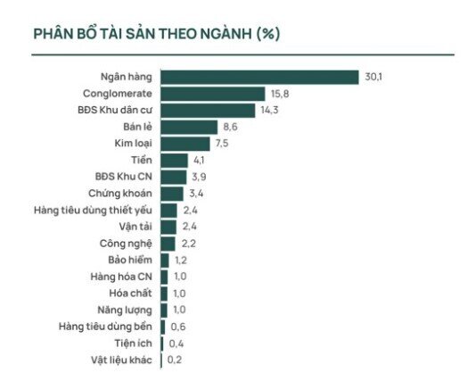 DCDS mua thêm hơn 2,2 triệu cổ phiếu VIC, hiệu suất cải thiện