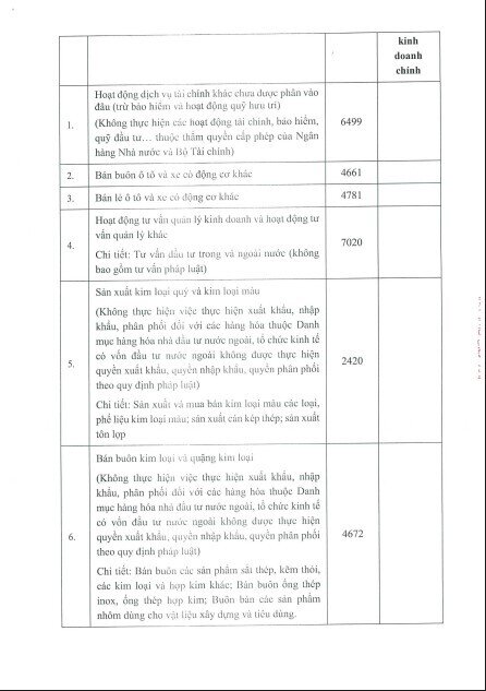 Tỷ phú Trần Đình Long muốn phân phối điện, bán lẻ ô tô, giường tủ