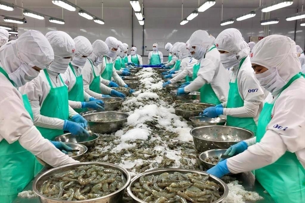 Rào cản thuế quan mới thử thách ngành thủy sản xuất khẩu