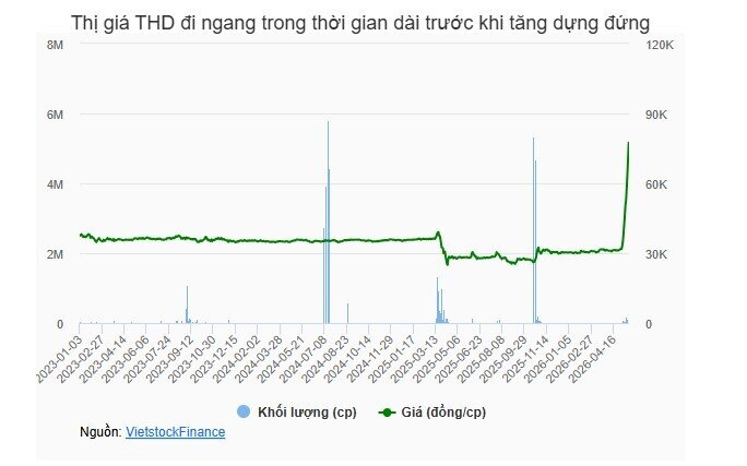 Cổ phiếu THD (Thaiholdings) liên tục tím