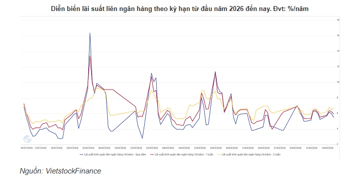 NHNN tiếp tục hút ròng 8,000 tỷ qua kênh OMO