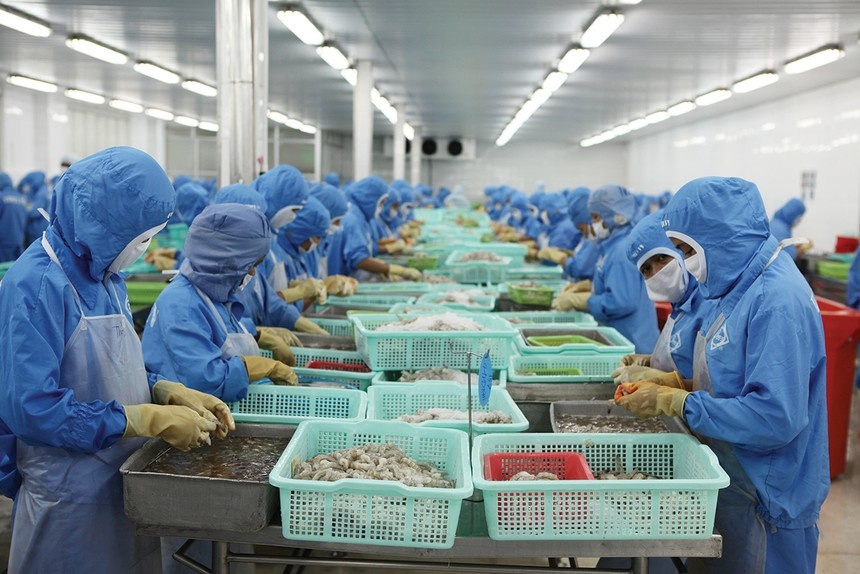 Nhóm xuất khẩu mất đà?