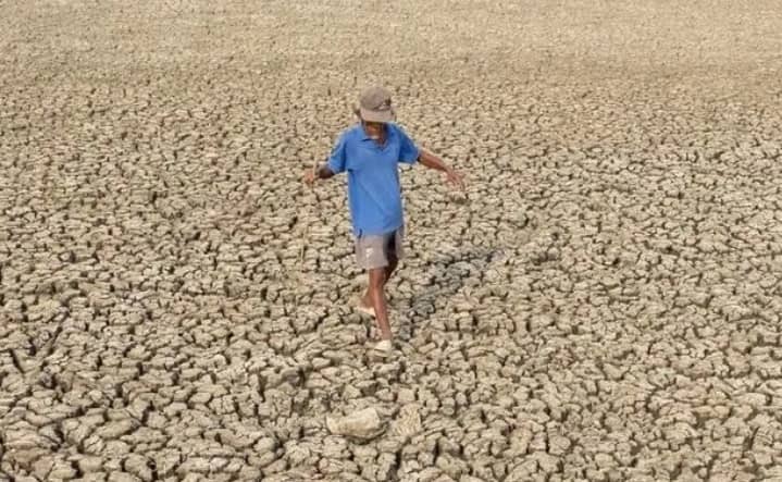 WMO phát cảnh báo khẩn: El Nino có thể kéo dài đến năm 2028