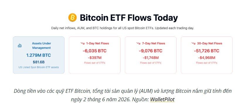 Ai đang bán tháo Bitcoin?