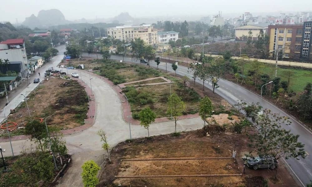 Bẫy lừa đảo bủa vây các phiên đấu giá đất