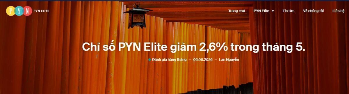PYN Elite âm hiệu suất tháng 5, chỉ ra nghịch lý định giá của TTCK Việt