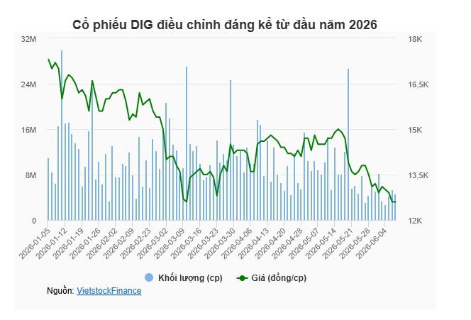 Gia đình Chủ tịch DIG tiếp tục bị giải chấp gần 1.9 triệu cp