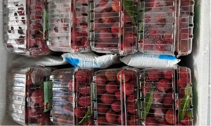 Vải không hạt giá 800.000 đồng một kg vẫn không đủ hàng bán