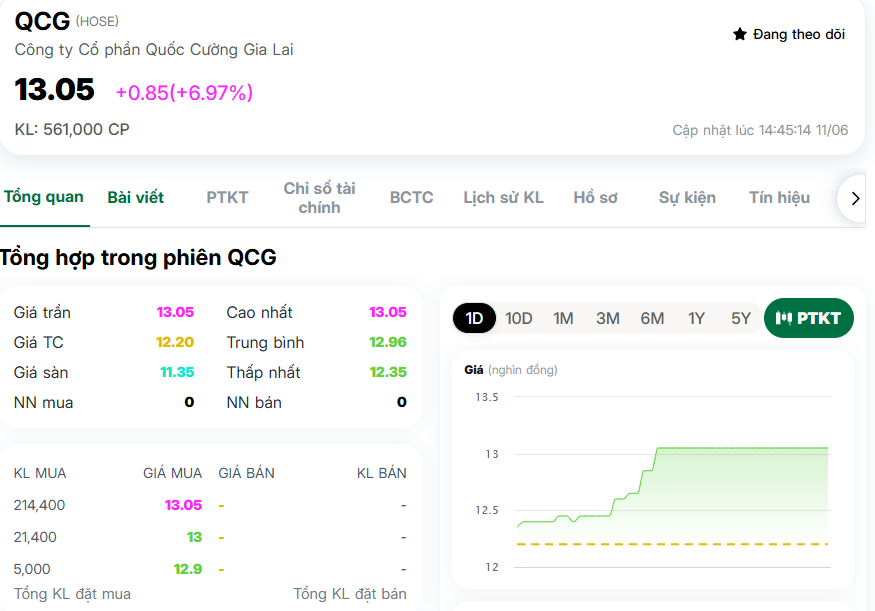 LDG, QCG đồng loạt tím lịm giữa phiên đỏ lửa: Dòng tiền đang đặt cược điều gì?