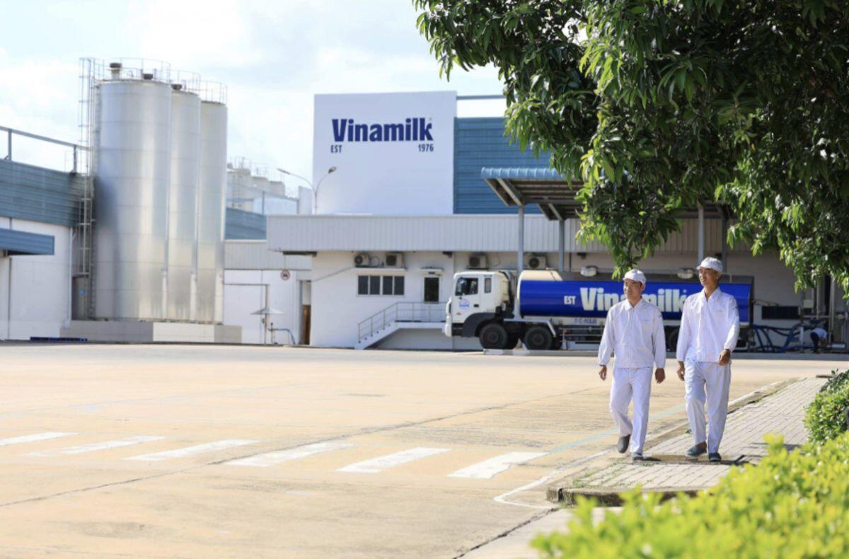 Vinamilk: 3 Năm liên tiếp là doanh nghiệp sữa duy nhất của Việt Nam trong Fortune 500 Đông Nam Á