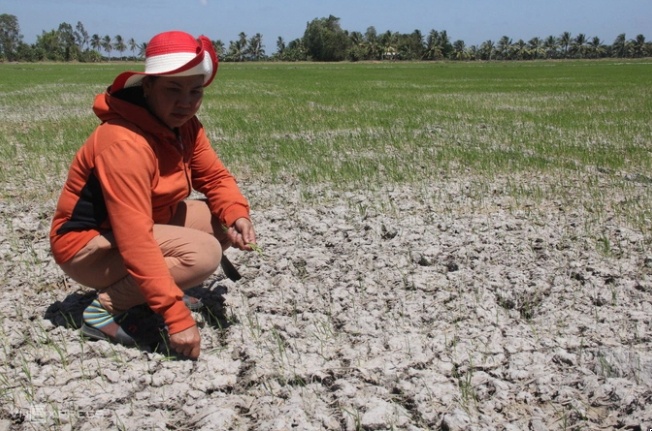 Cần bản đồ rủi ro cho từng vùng để ứng phó với El Nino rất mạnh
