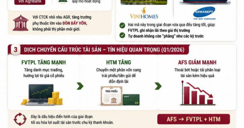 AGR – Ngân hàng mẹ, chứng khoán mẹ, tự doanh nắm full VHM, GMD là có lý do