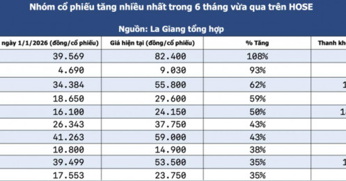Nhìn lại 6 tháng đầu năm: Những cổ phiếu khiến nhà đầu tư đổi đời, và những mã lao dốc không phanh