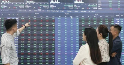Chuyên gia nói lợi nhuận doanh nghiệp chưa đủ kéo thị trường, dòng tiền mới là yếu tố quyết định