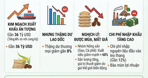 Xuất khẩu chạm mốc 36 tỷ USD nhưng thặng dư "bốc hơi" 60%: Tiền đã đi về đâu?