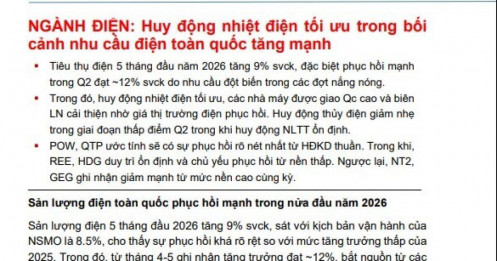 Doanh nghiệp điện quý II: Người thắng lớn, người báo lãi giảm hai chữ số