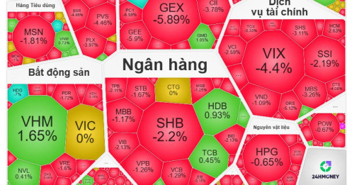 Hơn 500 cổ phiếu lao dốc, VN-Index rơi mạnh nhất châu Á ngay đầu tuần