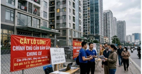 Thấy tin rao "cắt lỗ" chung cư, đừng vội mừng! Có khi chỉ là... cắt bớt tiền lãi