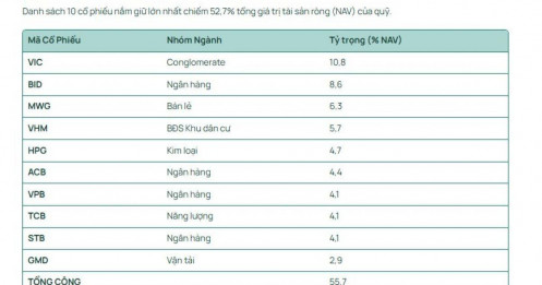 Dragon Capital vừa cập nhật danh mục: VIC trở thành khoản đầu tư lớn nhất